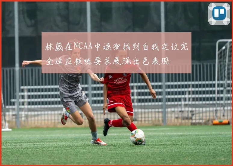 林葳在NCAA中逐渐找到自我定位完全适应教练要求展现出色表现