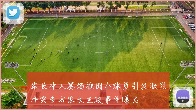 家长冲入赛场推倒小球员引发激烈冲突多方家长互殴事件曝光