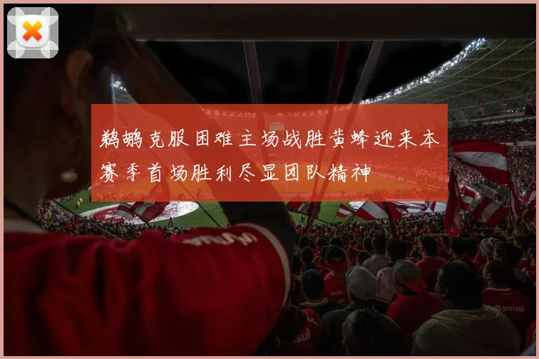 鹈鹕克服困难主场战胜黄蜂迎来本赛季首场胜利尽显团队精神