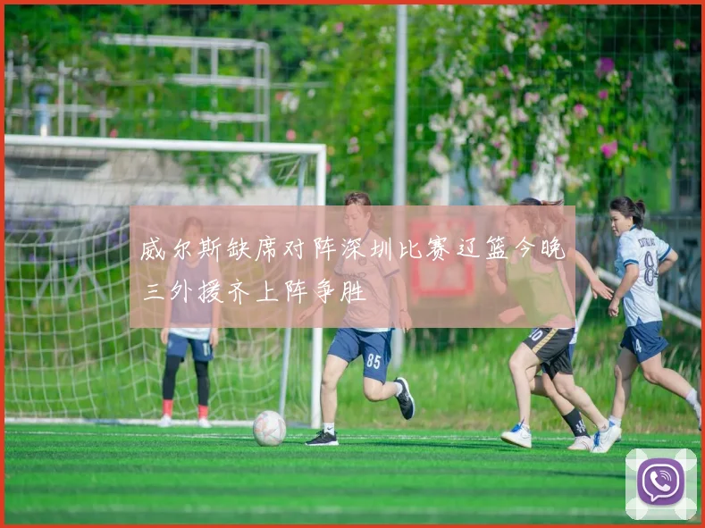 威尔斯缺席对阵深圳比赛辽篮今晚三外援齐上阵争胜