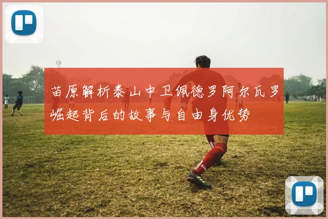 苗原解析泰山中卫佩德罗阿尔瓦罗崛起背后的故事与自由身优势