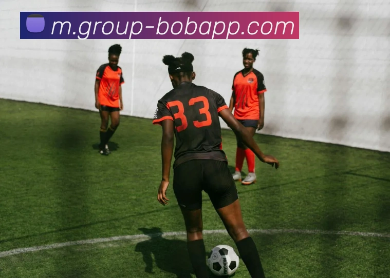 BOB体育平台生态图